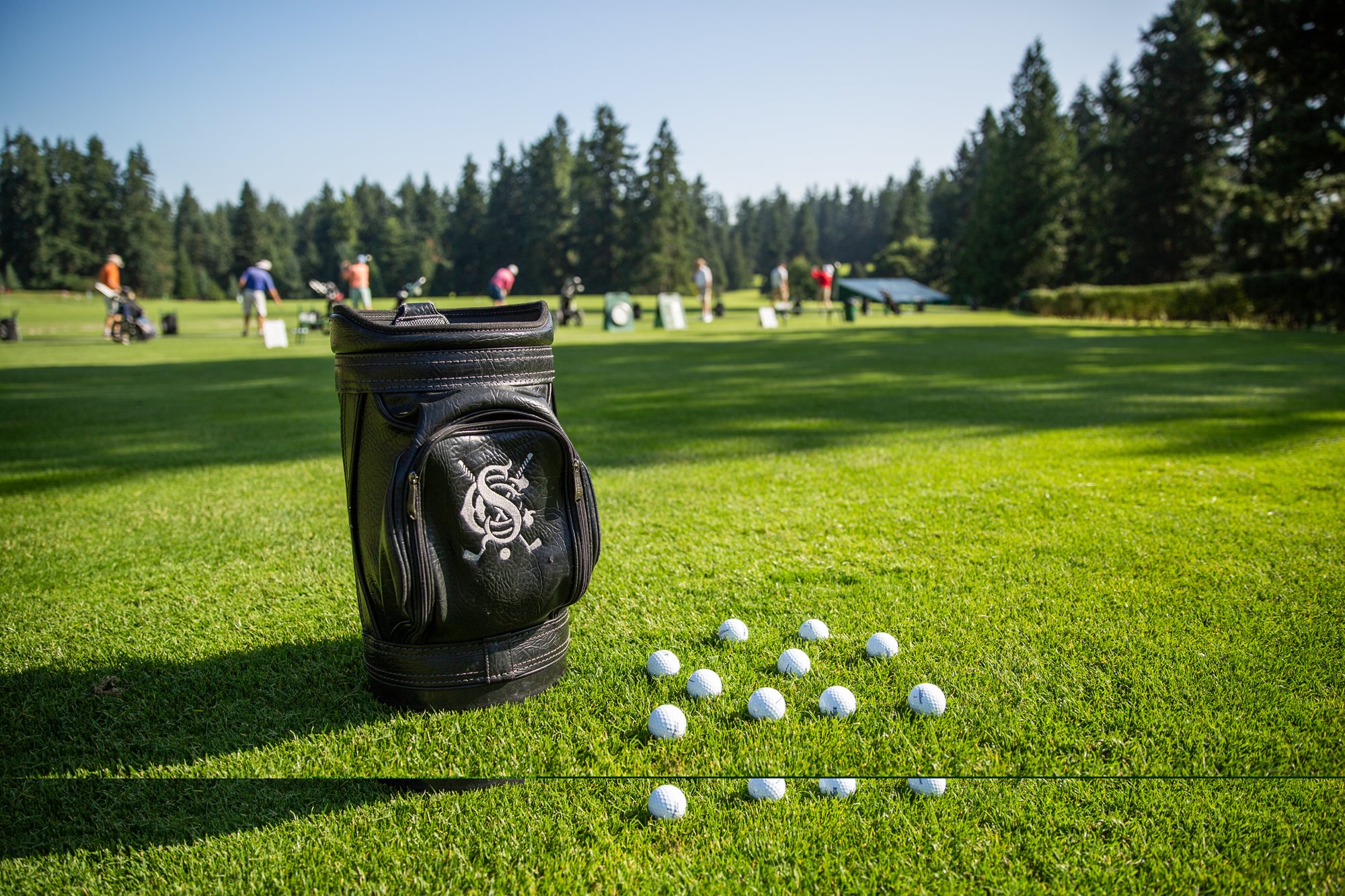 Driving_Range_balls_RBCL